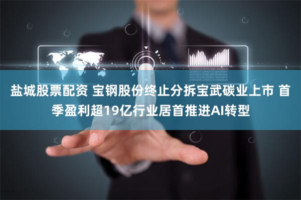 盐城股票配资 宝钢股份终止分拆宝武碳业上市 首季盈利超19亿行业居首推进AI转型