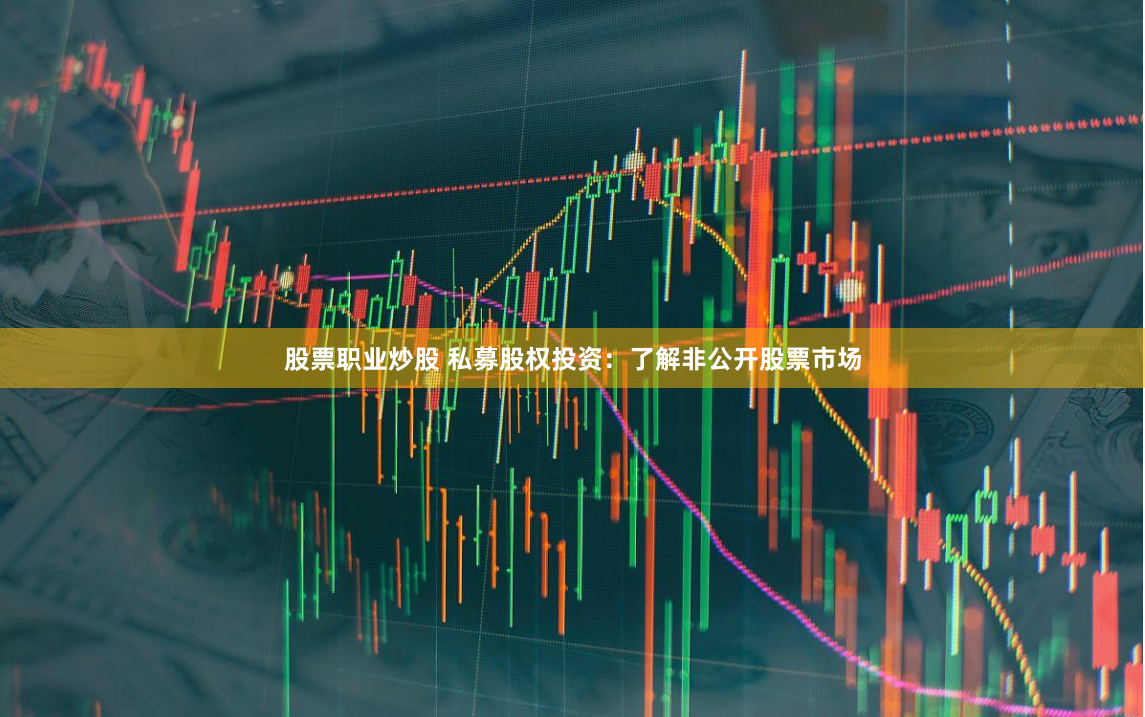 股票职业炒股 私募股权投资：了解非公开股票市场