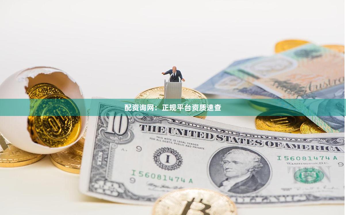 配资询网：正规平台资质速查