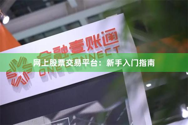 网上股票交易平台：新手入门指南