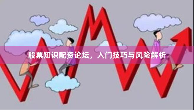 股票知识配资论坛，入门技巧与风险解析